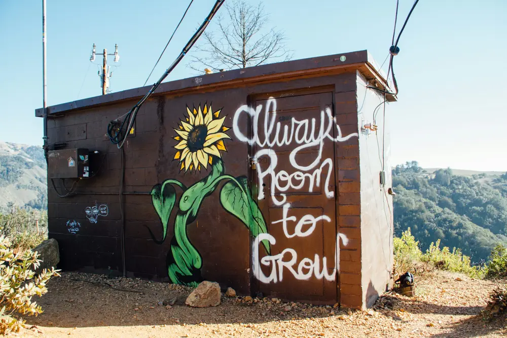 A creative shed painted with the slogan “Always room to grow”